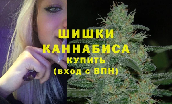 гашик Переславль-Залесский