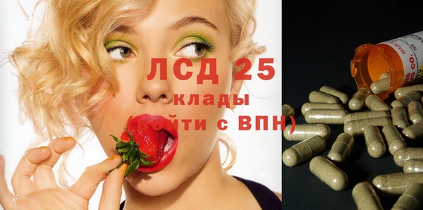 гашик Переславль-Залесский