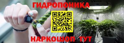 ALPHA PVP Гатчина