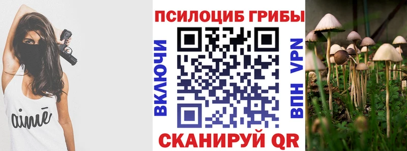 Псилоцибиновые грибы Cubensis Кировск