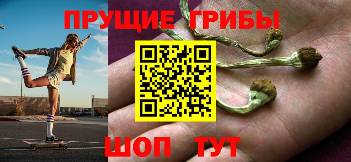 Псилоцибиновые грибы мухоморы  Псилоцибиновые грибы Psilocybe  Вход с VPN  Кировск 