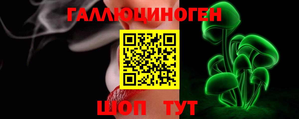 Псилоцибиновые грибы Psilocybine cubensis  Кировск  Псилоцибиновые грибы мицелий 